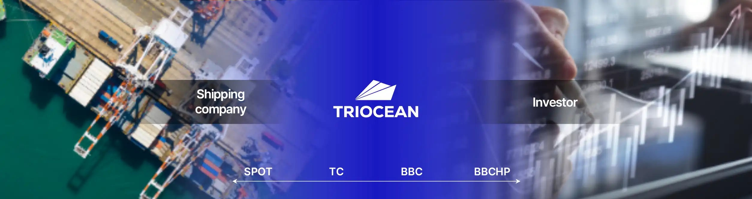Market Positioning - Triocean between Shipping Companies and Investors